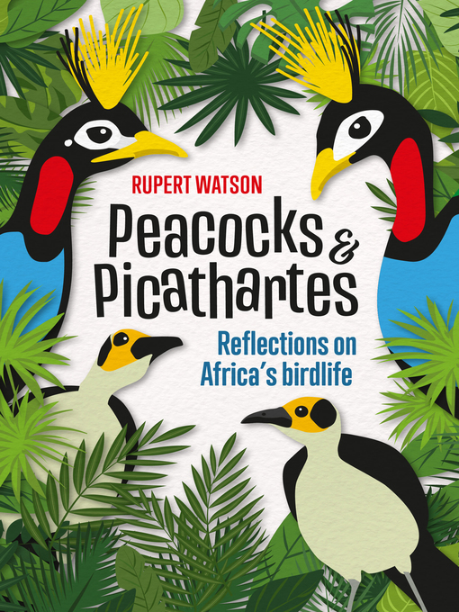 Cover image for Peacocks & Picathartes